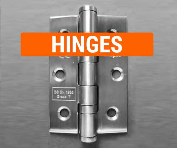 Stainless Steel Hinges