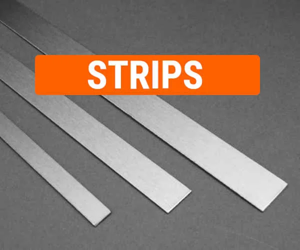 Stainless Steel Strips